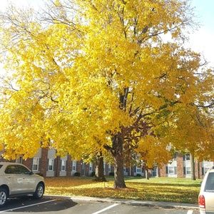 Meet your Posher, Aura